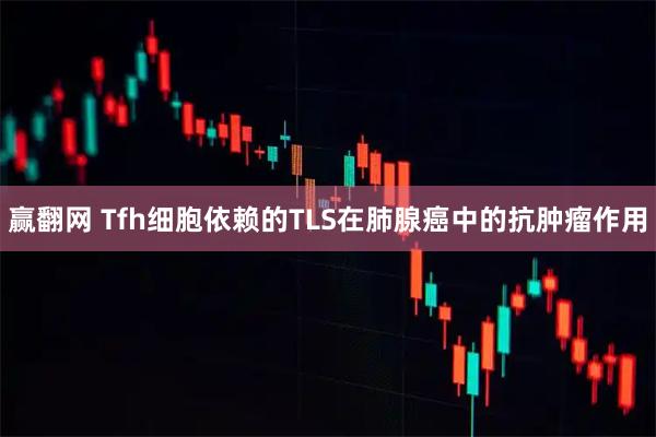 赢翻网 Tfh细胞依赖的TLS在肺腺癌中的抗肿瘤作用